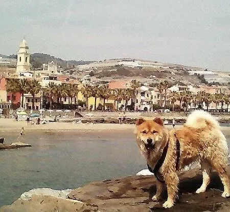شقة Approdo *
