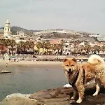 Lejlighed Approdo *